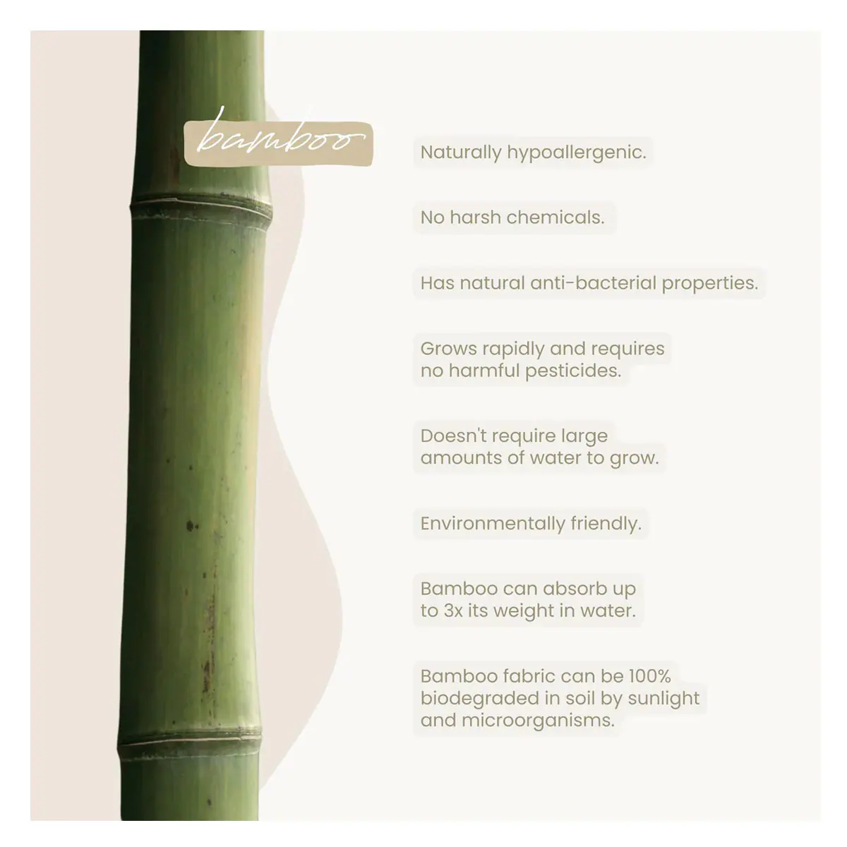 Thumbnail Eco Bamboo Bamboo Wipes 80 Pack