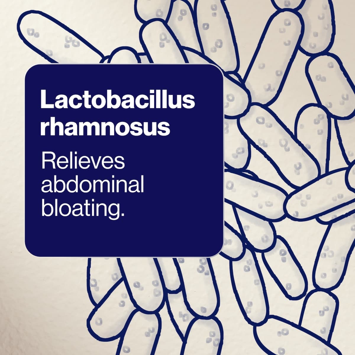 Thumbnail BioCeuticals UltraBiotic 45 60 Capsules
