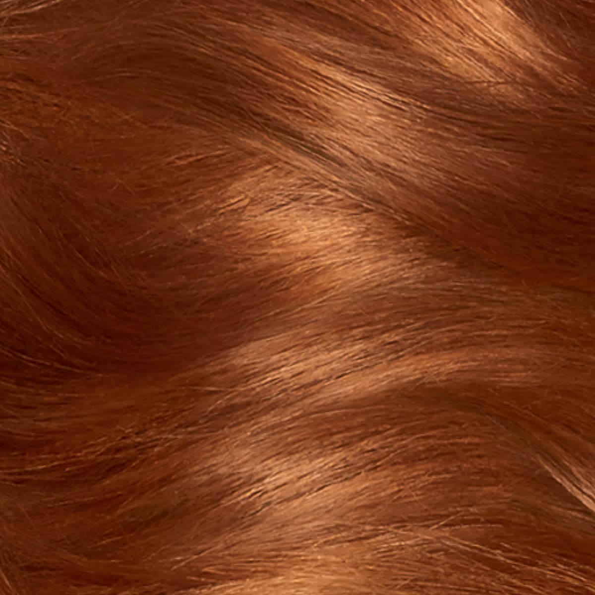 Thumbnail Clairol Nice N Easy 6R Natural Light Auburn Hair Colour