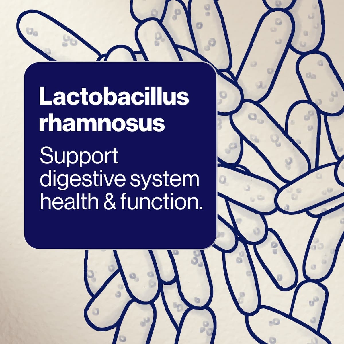 Thumbnail BioCeuticals UltraBiotic 60 60 Capsules