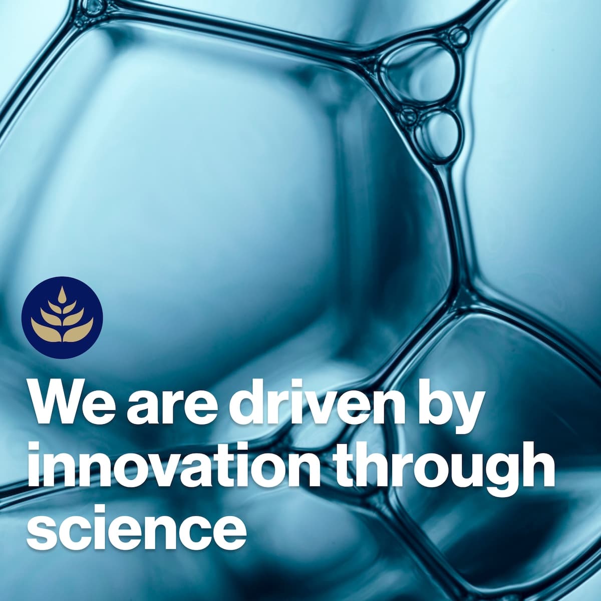 Thumbnail BioCeuticals UltraBiotic 60 60 Capsules