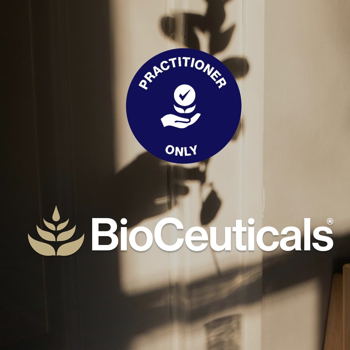 Thumbnail BioCeuticals UltraBiotic 60 60 Capsules