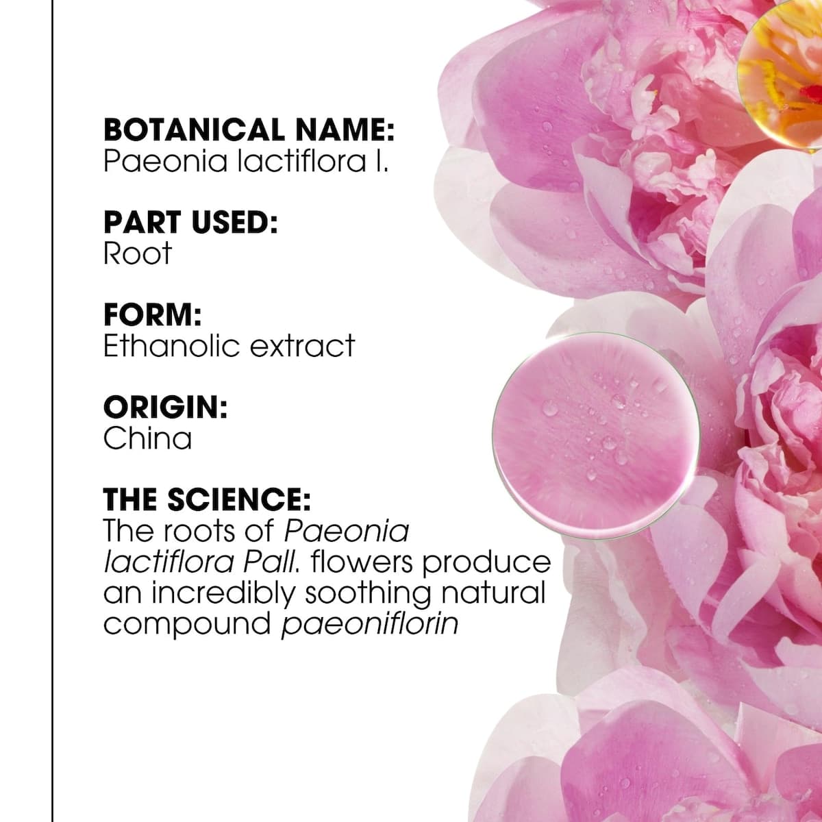 Thumbnail Klorane Soothing Conditioner With Organic Peony 150ml