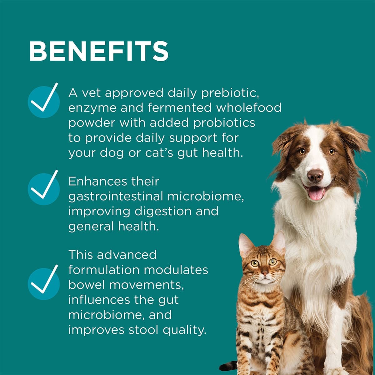 Thumbnail Blackmores PAW Digesticare Probiotic Powder for Dogs and Cats 143g