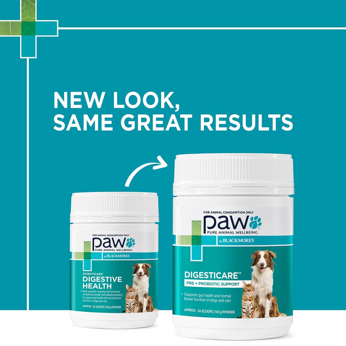 Thumbnail Blackmores PAW Digesticare Probiotic Powder for Dogs and Cats 143g