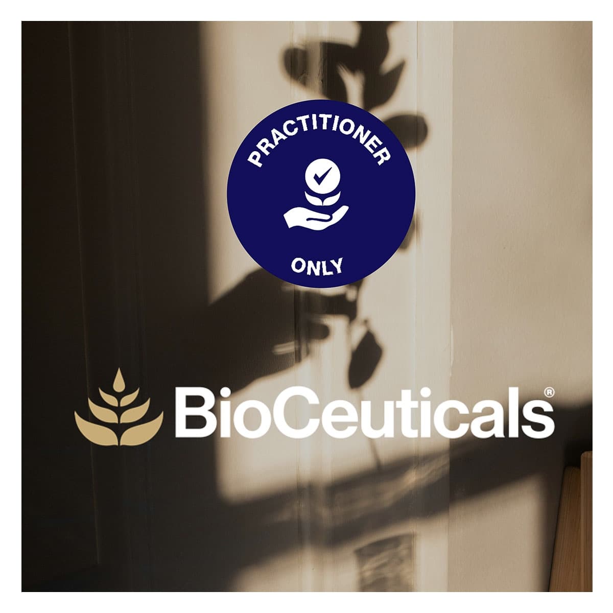 Thumbnail BioCeuticals Methyl B12 Chewable 60 Tablets