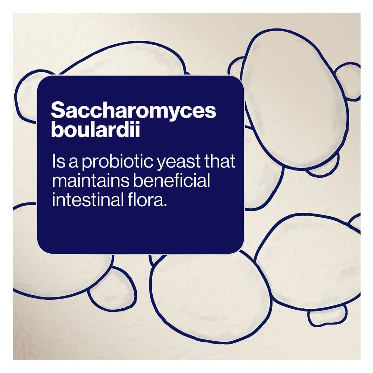 Thumbnail BioCeuticals SB Floractiv 60 Capsules