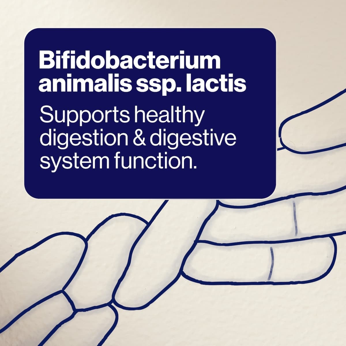 Thumbnail BioCeuticals UltraBiotic 500 - 7 x 5g Sachets