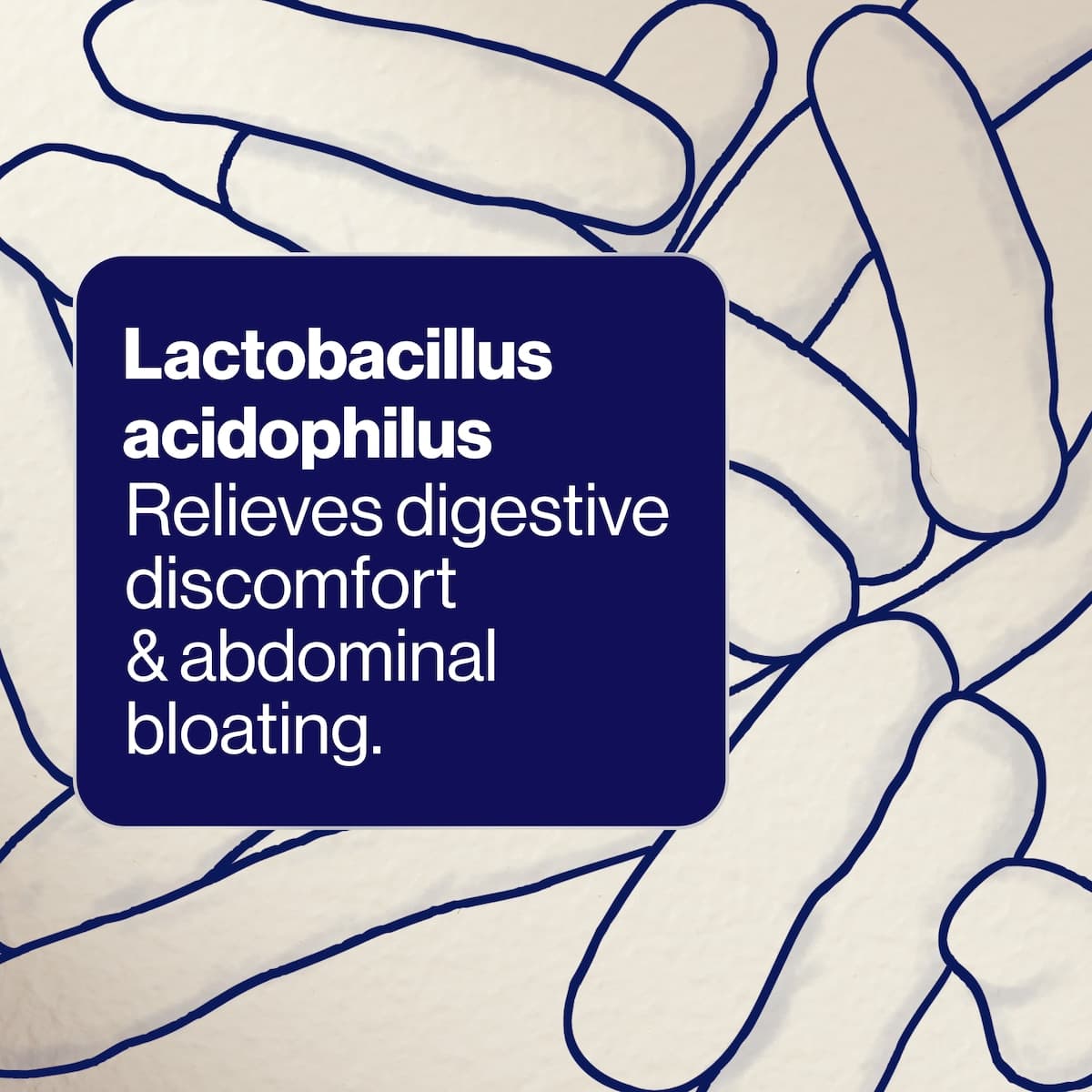 Thumbnail BioCeuticals UltraBiotic 500 - 7 x 5g Sachets