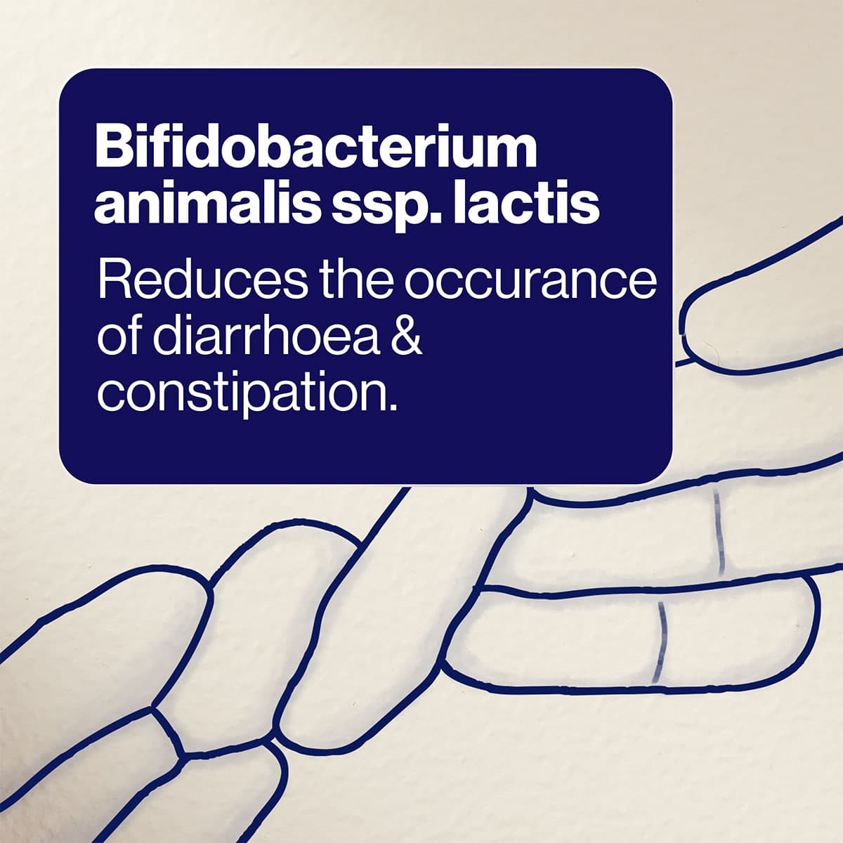 Thumbnail BioCeuticals UltraBiotic IBS 30 Capsules