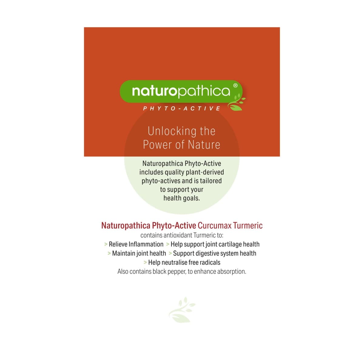 Thumbnail Naturopathica CurcuMax Turmeric Daily 3100mg 80 Tablets