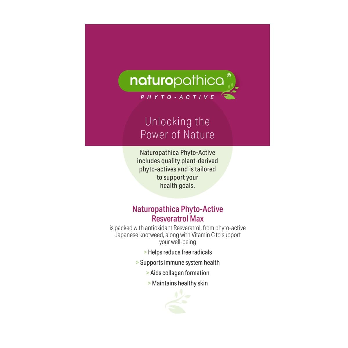 Thumbnail Naturopathica Resveratrol Max Antioxidant Rich 30 Tablets