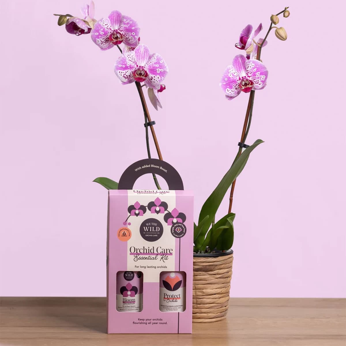Thumbnail We The Wild Orchid Care Essential Kit
