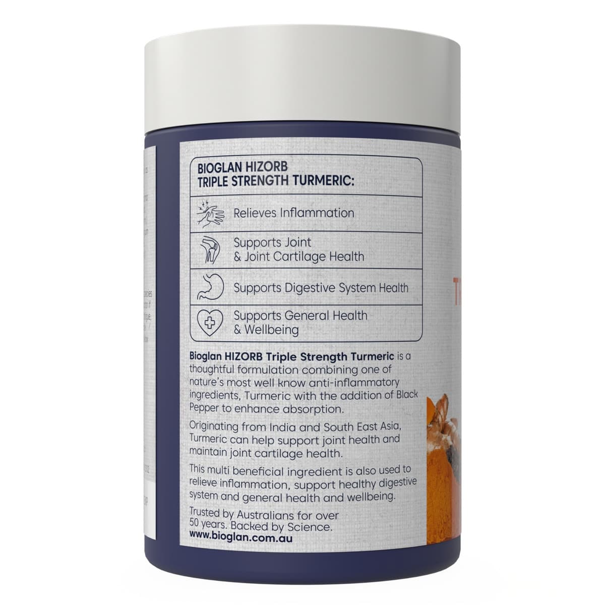 Thumbnail Bioglan Hi-Zorb Triple Strength Turmeric 100 Tablets