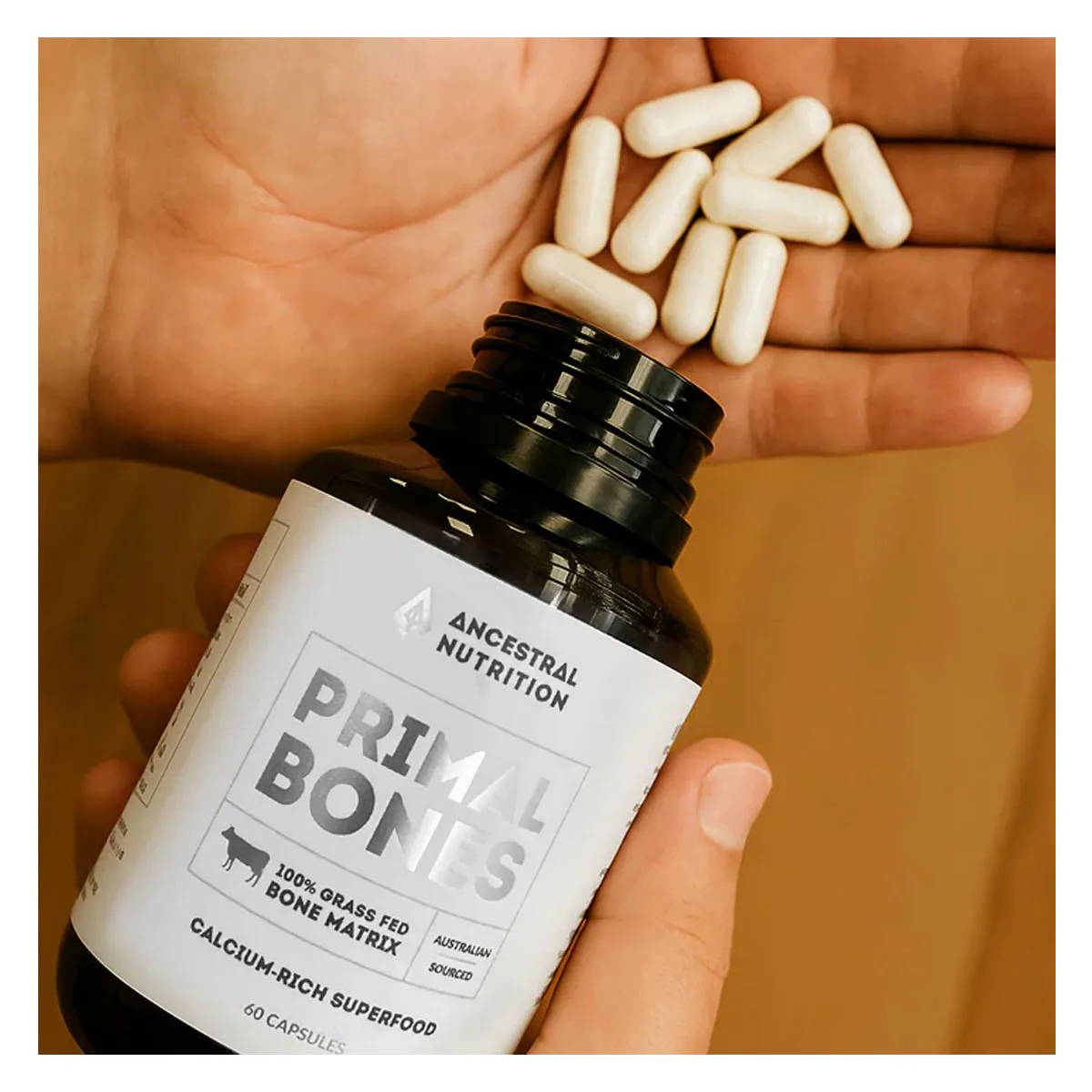 Thumbnail Ancestral Nutrition Primal Bones Grass-Fed Bone Matrix 60 Capsules