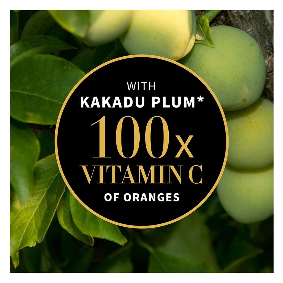 Thumbnail Antipodes Glow Vitamin C Brightening Serum 30ml