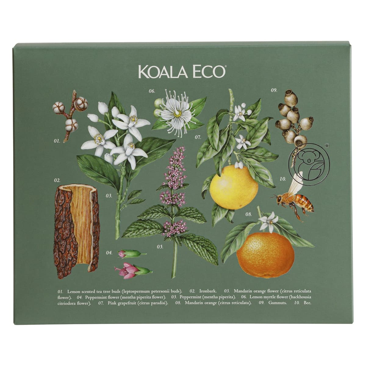 Thumbnail Koala Eco Gift Hand Wash Kitchen Cleaner & Dish Soap Gift Pack 3 x 500ml