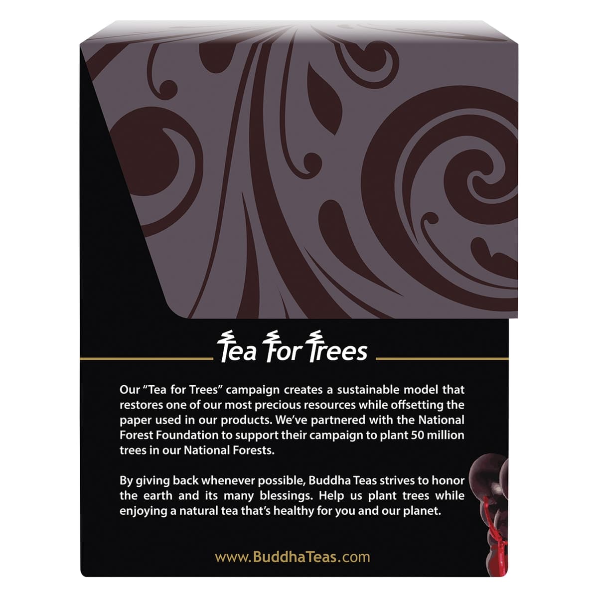 Thumbnail Buddha Teas Organic Herbal Elderberry Tea 18 Pack