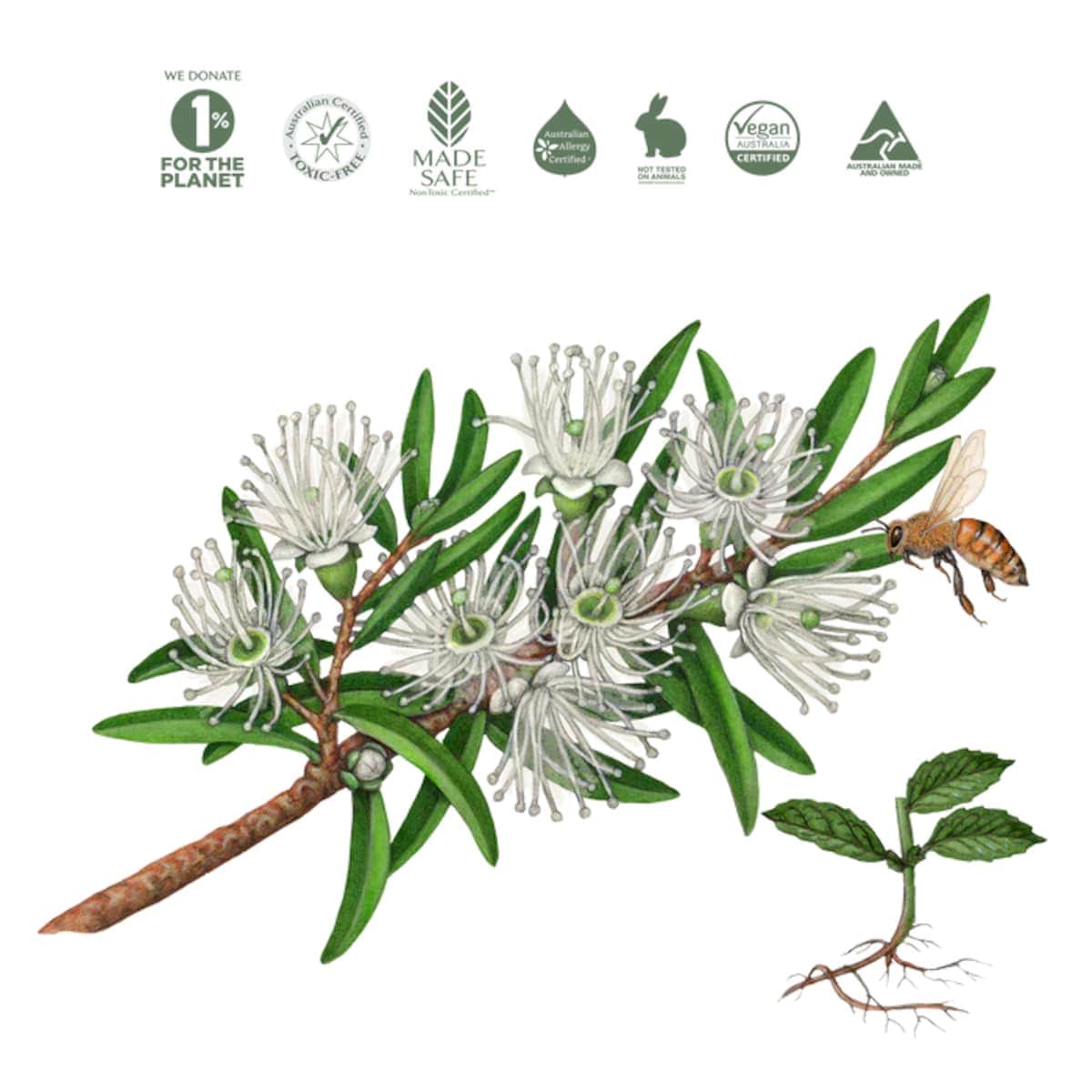 Thumbnail Koala Eco Hand Wash Rosalina & Peppermint 1L