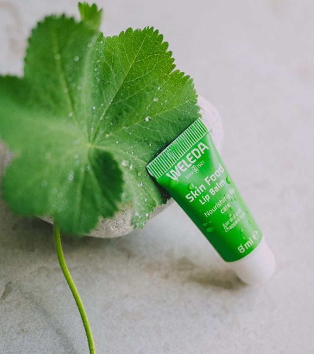 Thumbnail Weleda Skin Food Lip Balm 8ml
