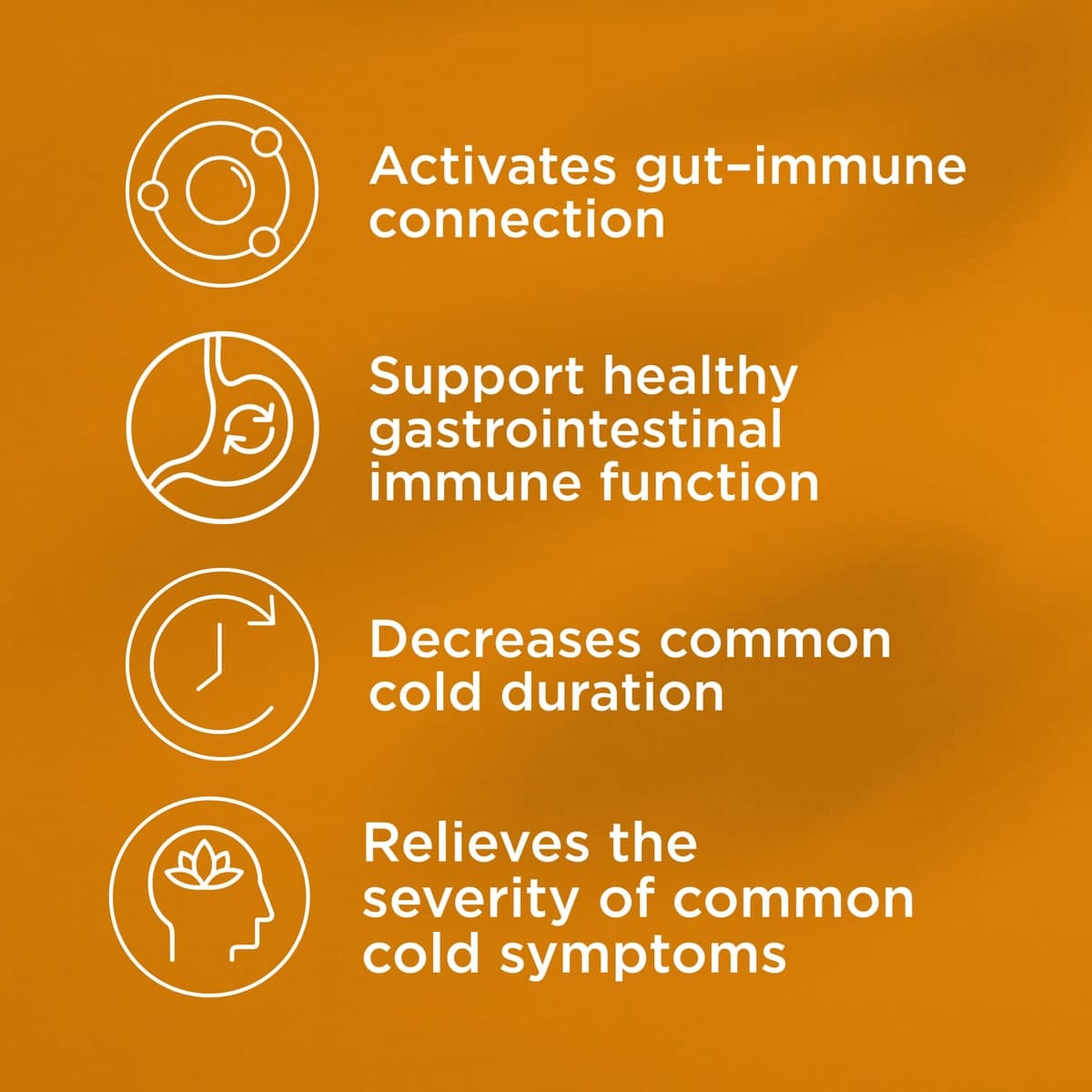 Thumbnail Blackmores Gut Immune Biotic 60 Capsules