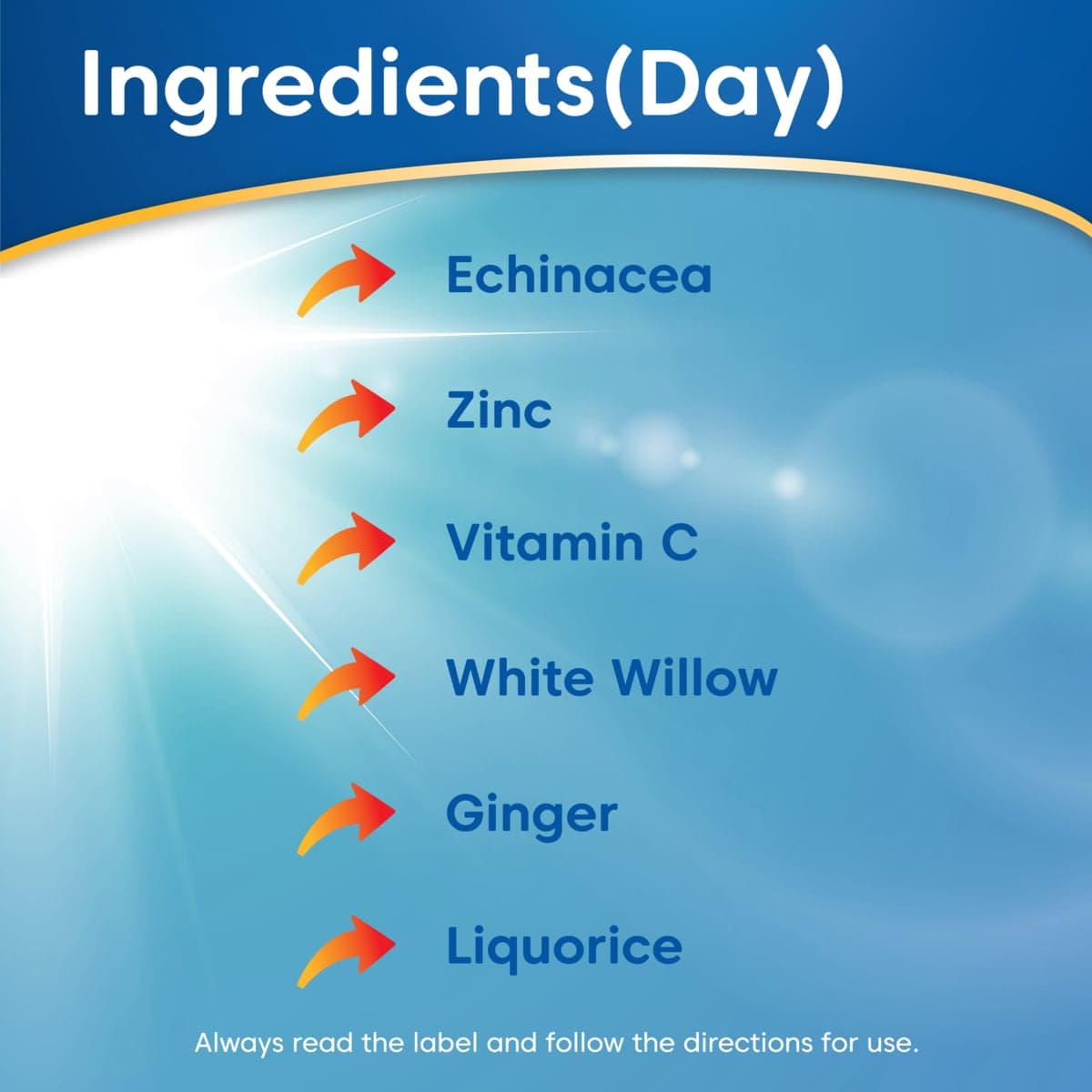 Thumbnail Ease a Cold Cough Cold & Flu Day & Night 24 Capsules