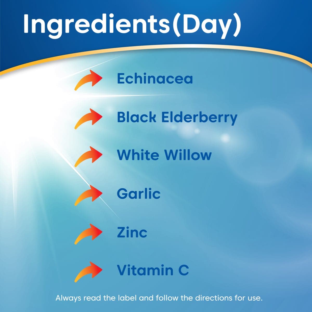 Thumbnail Ease a Cold Cold & Flu Day & Night 24 Capsules