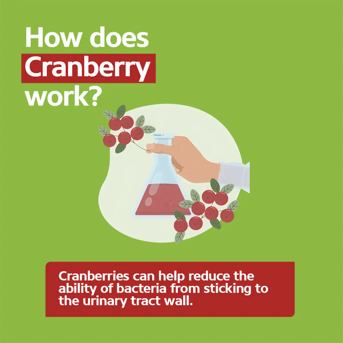 Thumbnail Ural High Strength Cranberry 60000mg 90 Capsules