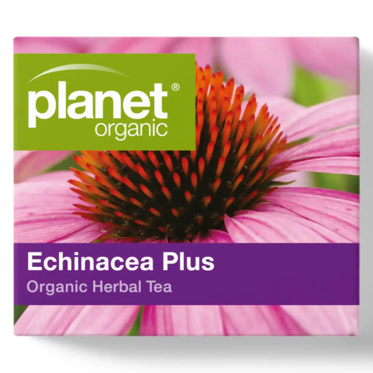 Thumbnail Planet Organic Echinacea Plus Tea 25 Tea Bags