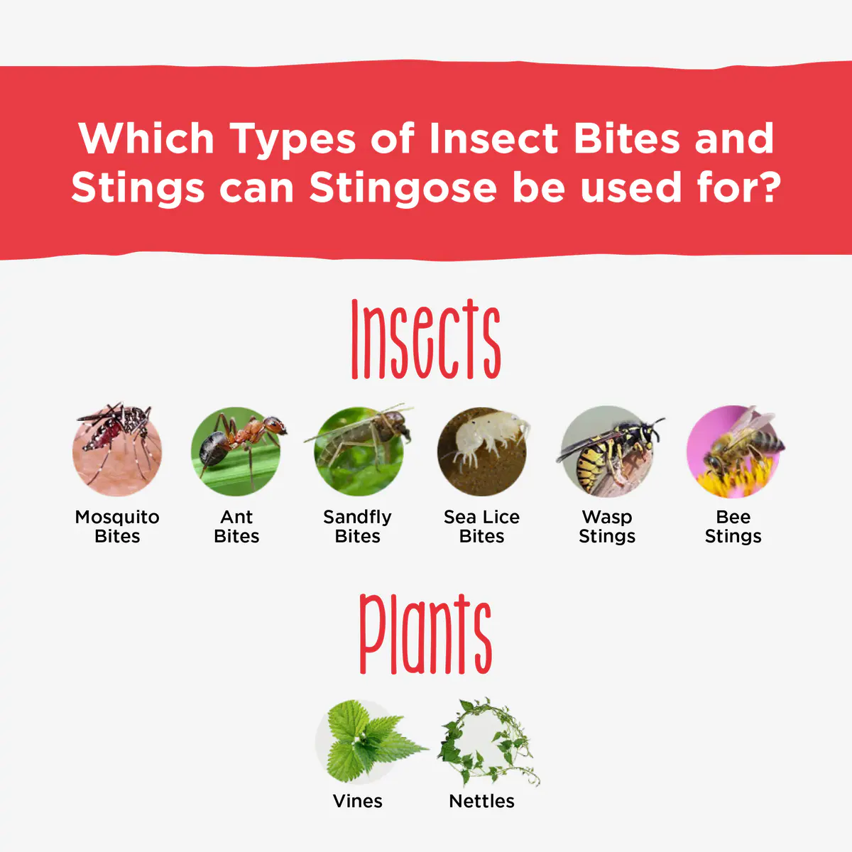 Thumbnail Stingose Gel 25g