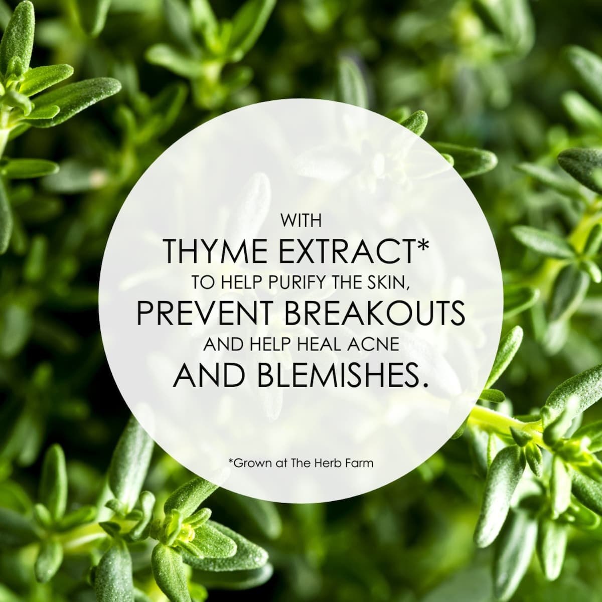 Thumbnail The Herb Farm Balance & Clarify Gel Cleanser 200ml