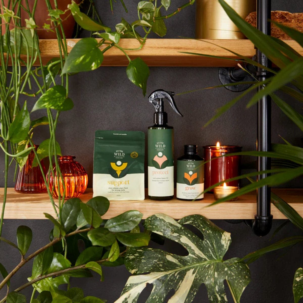 Thumbnail We The Wild Essential Plant Care Kit