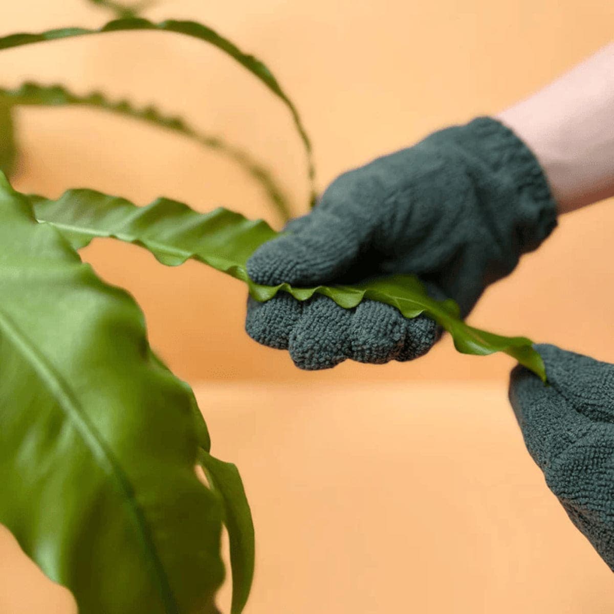 Thumbnail We The Wild Leaf Cleaning Gloves
