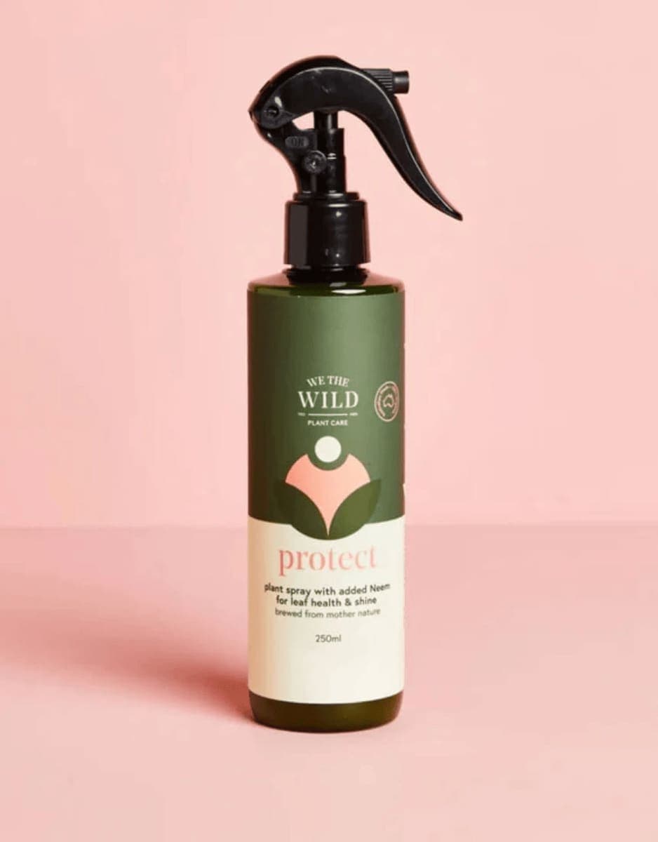 Thumbnail We The Wild Leaf Health Duo