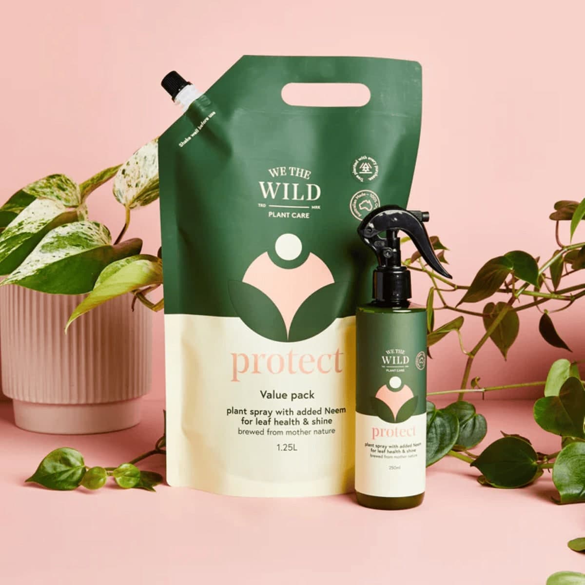 Thumbnail We The Wild Leaf Health Kit