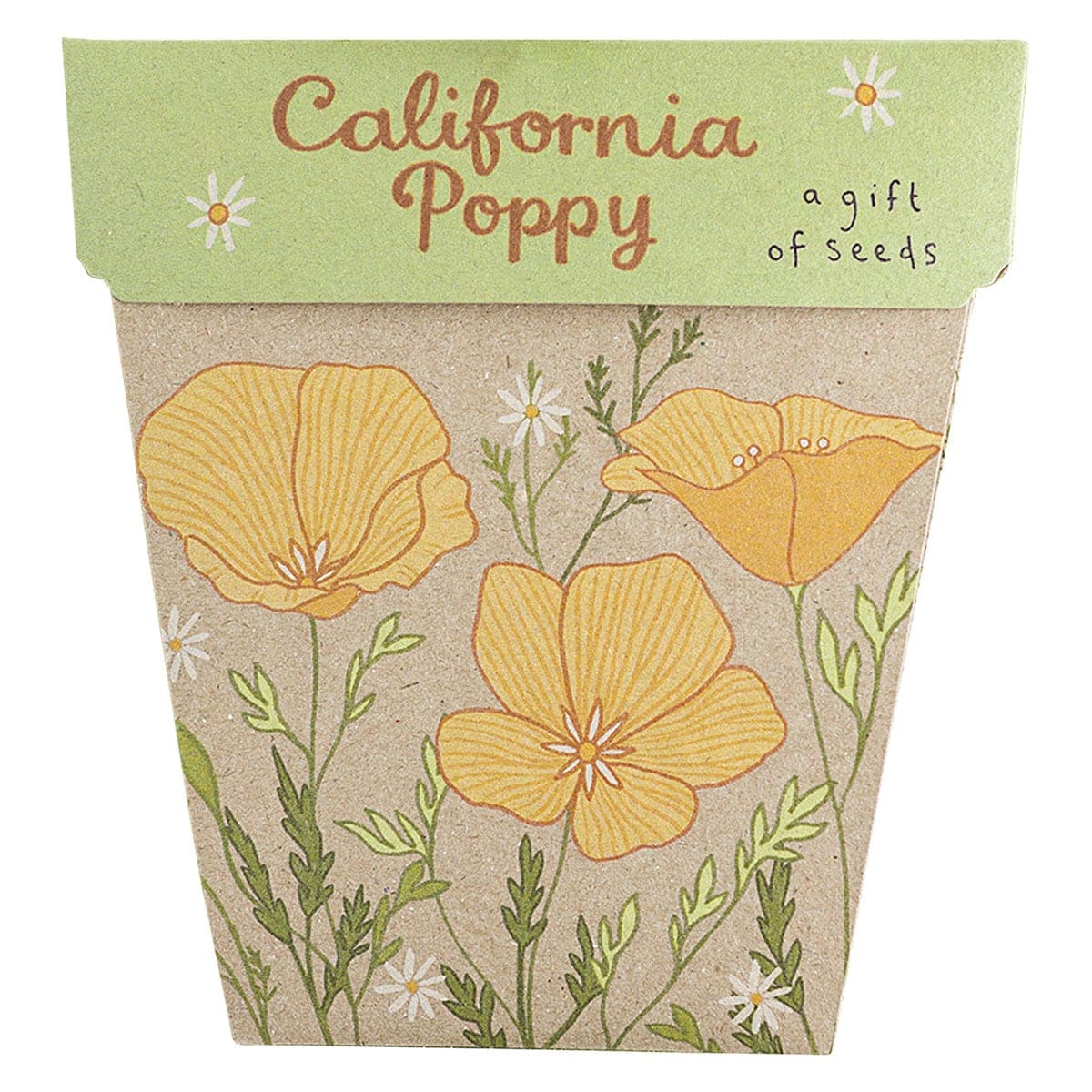 Thumbnail Sow 'n Sow Gift of Seeds California Poppy 1 Pack