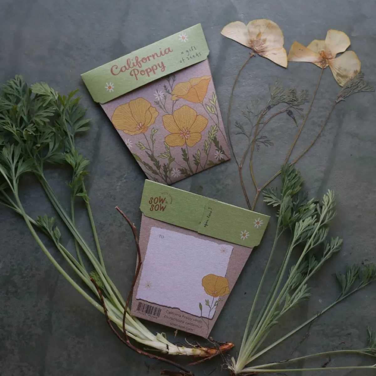 Thumbnail Sow 'n Sow Gift of Seeds California Poppy 1 Pack