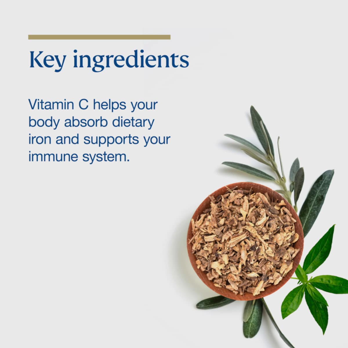 Thumbnail BioCeuticals ArmaForce for Juniors 150g