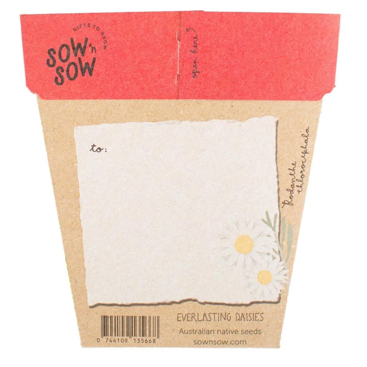 Thumbnail Sow 'n Sow Gift of Seeds Christmas Greetings - Everlasting Daises