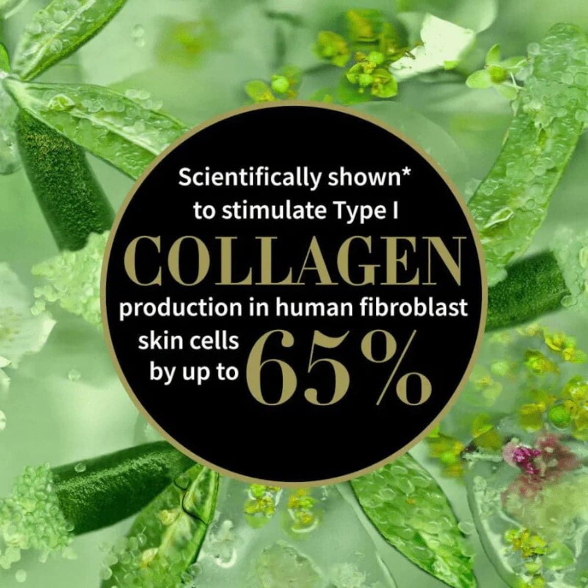 Thumbnail Antipodes Lime Caviar Collagen-Rich Firming Cream 60ml