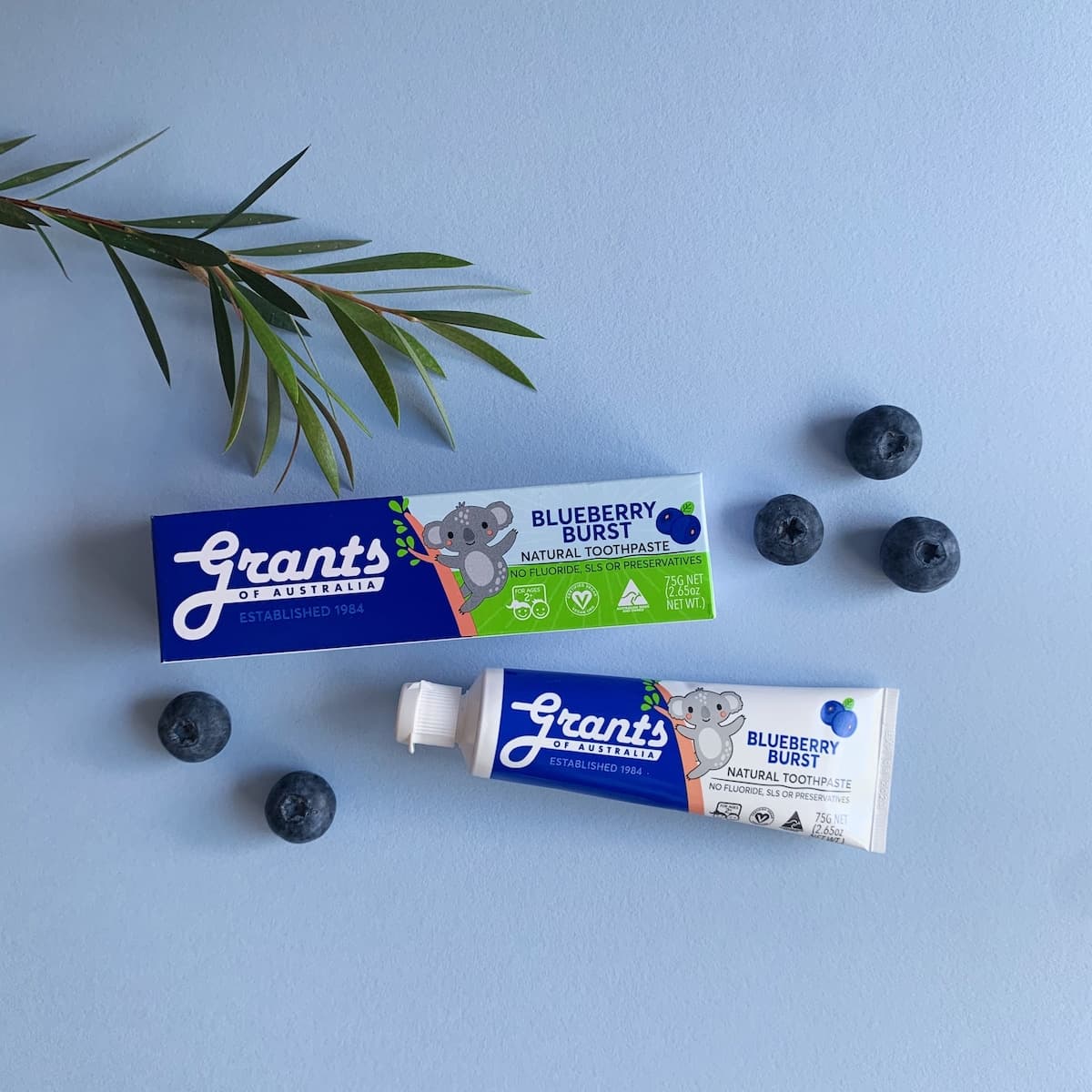 Thumbnail Grants Kids Natural Toothpaste Blueberry Burst 75g