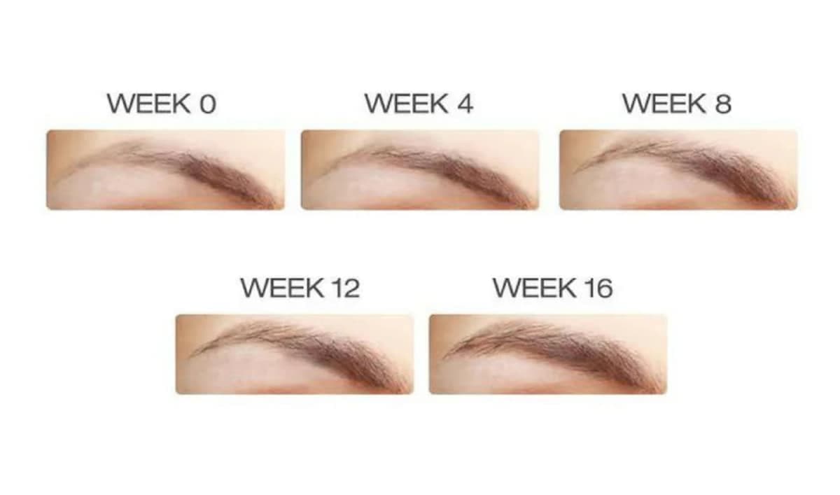 Thumbnail Lashfood Phyto-Medic Eyebrow Enhancer 5ml