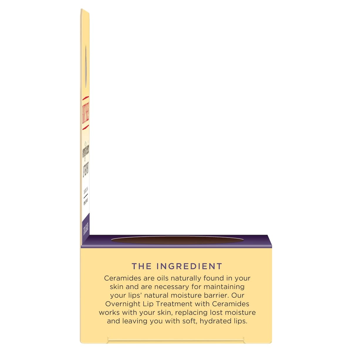 Thumbnail Burts Bees Overnight Intensive Lip Treatment 7.08g