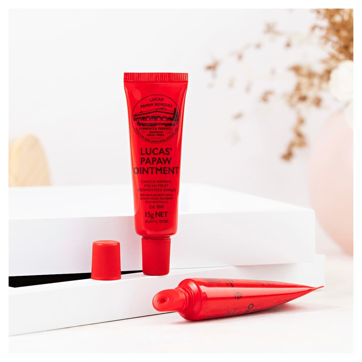 Thumbnail Lucas Papaw Lip Ointment With Applicator 15g