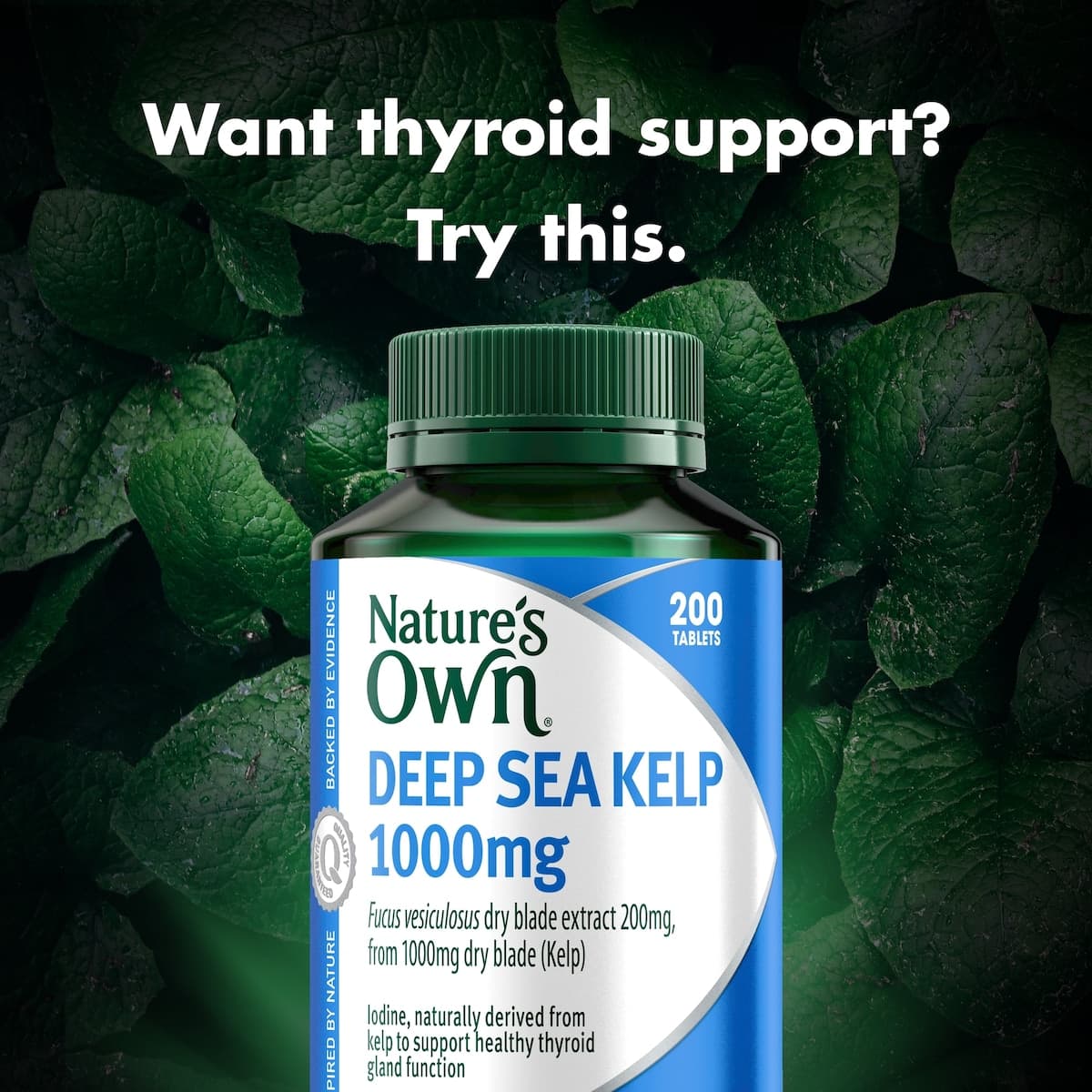 Thumbnail Nature's Own Kelp 1000mg 200 Tablets