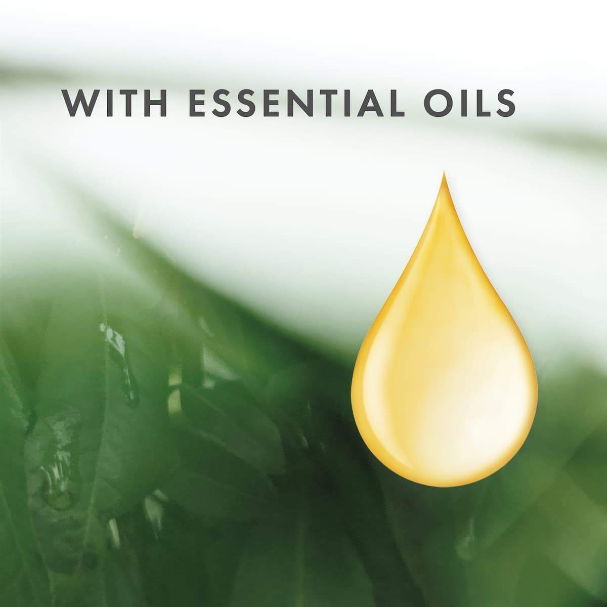 Thumbnail Freshwater Farm Hemp Seed Oil Hand Cream 100ml