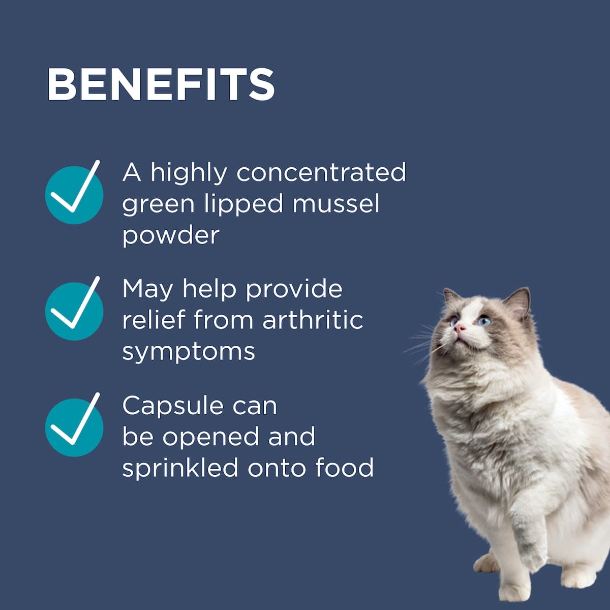 Thumbnail Blackmores PAW OsteoSupport Cat 60 Capsules