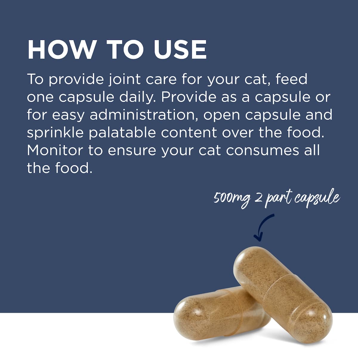 Thumbnail Blackmores PAW OsteoSupport Cat 60 Capsules