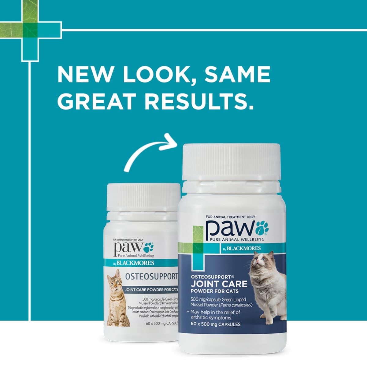 Thumbnail Blackmores PAW OsteoSupport Cat 60 Capsules