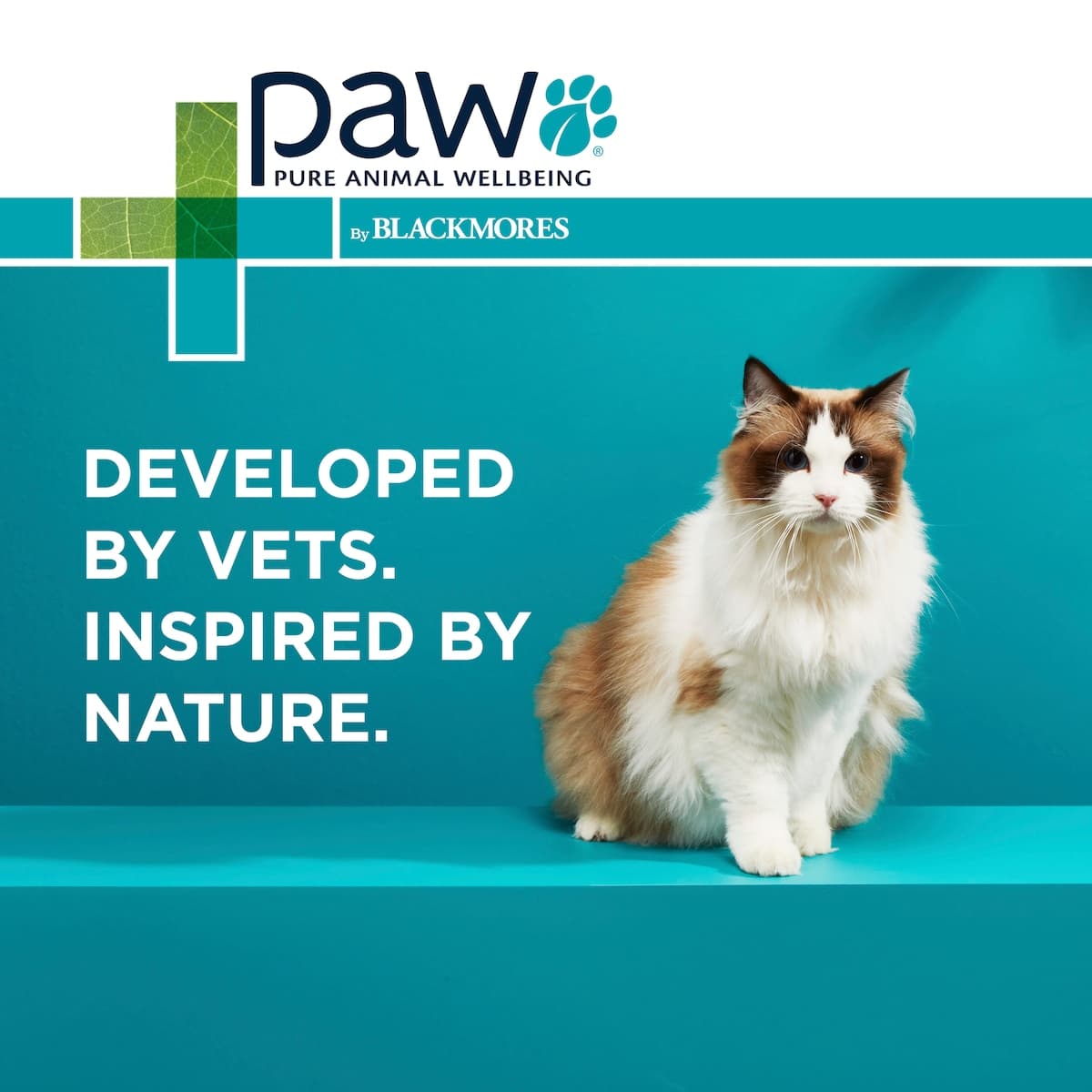 Thumbnail Blackmores PAW OsteoSupport Cat 60 Capsules